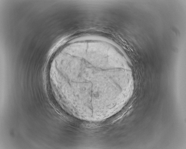 X0000115060341200912071156