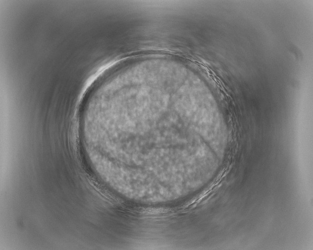 X0000115060342200912071156