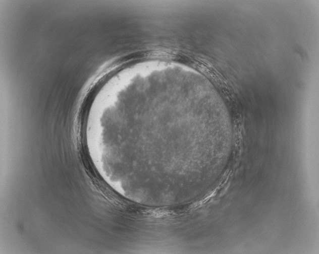 X0000115060343200912071156