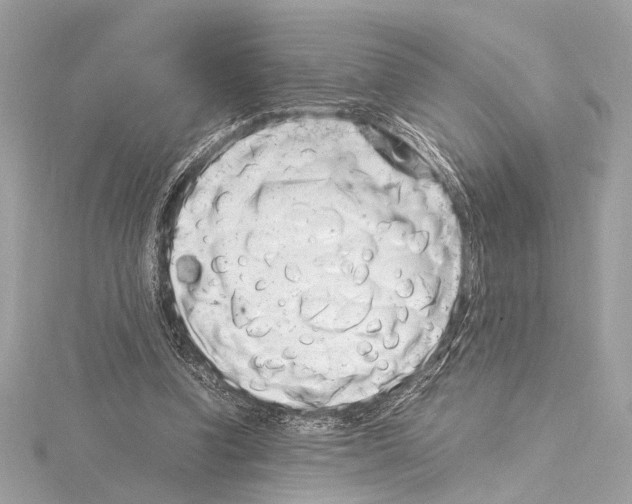 X0000115060346200912071156