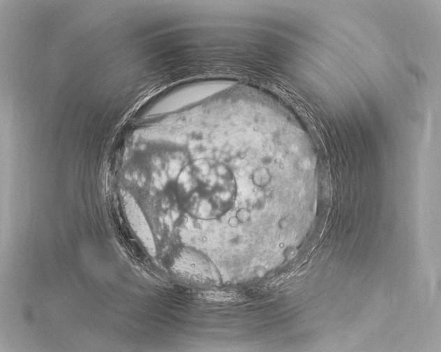 X0000115060347200912071156