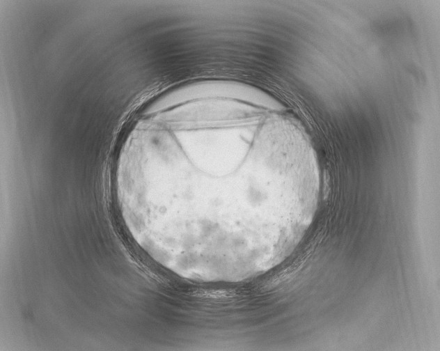 X0000115060349200912071156