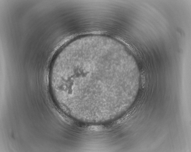 X0000115060350200912071156