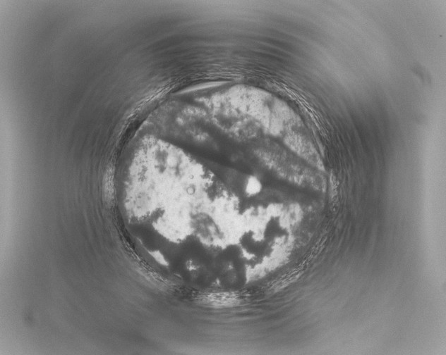 X0000115060353200912071156