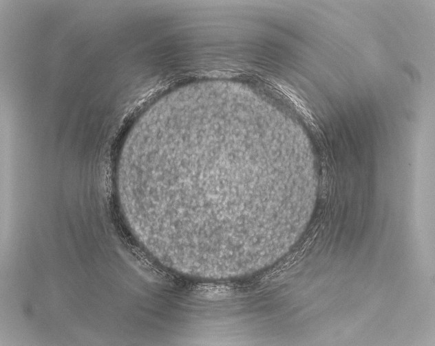 X0000115060354200912071156