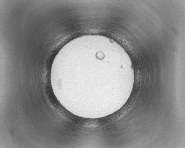 X0000115060358200912071156