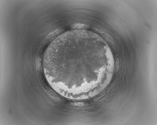 X0000115060361200912071156