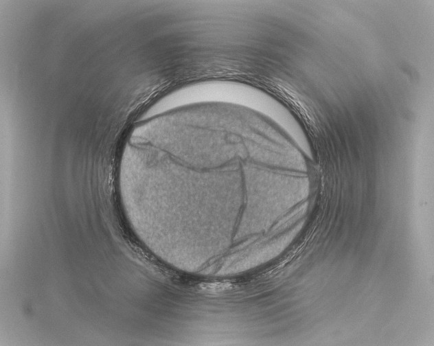 X0000115060362200912071156