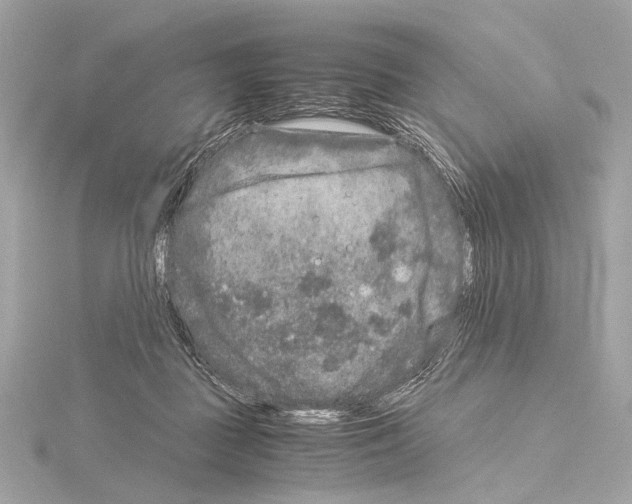 X0000115060363200912071156