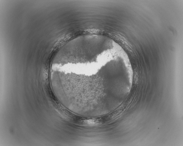 X0000115060365200912071156