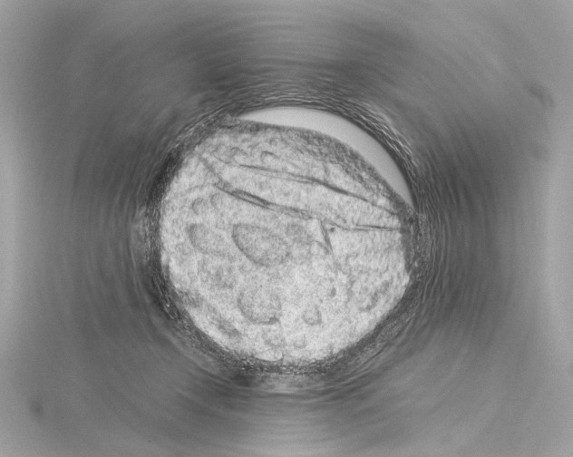 X0000115060366200912071156