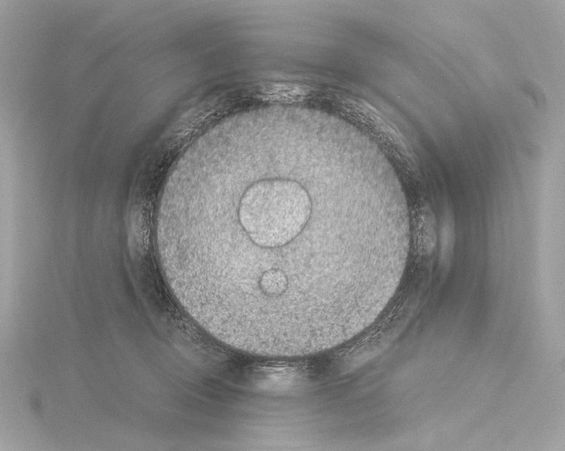 X0000115060370200912071156