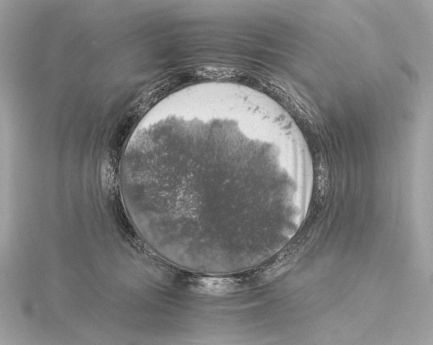 X0000115060371200912071156