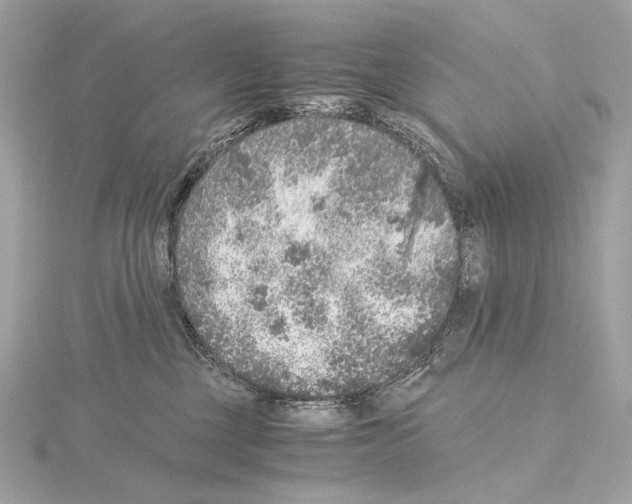 X0000115060377200912071156