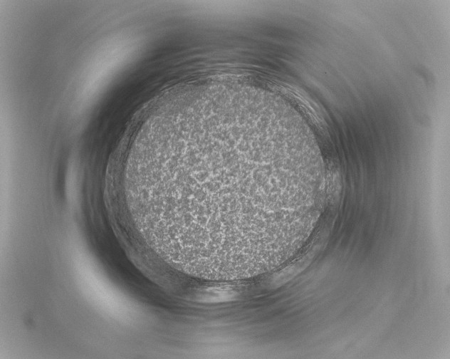 X0000115060381200912071156