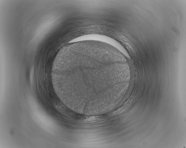 X0000115060382200912071156