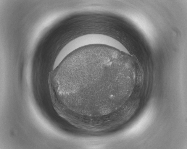 X0000115060383200912071156