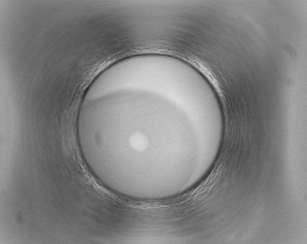 X0000115060385200912071156