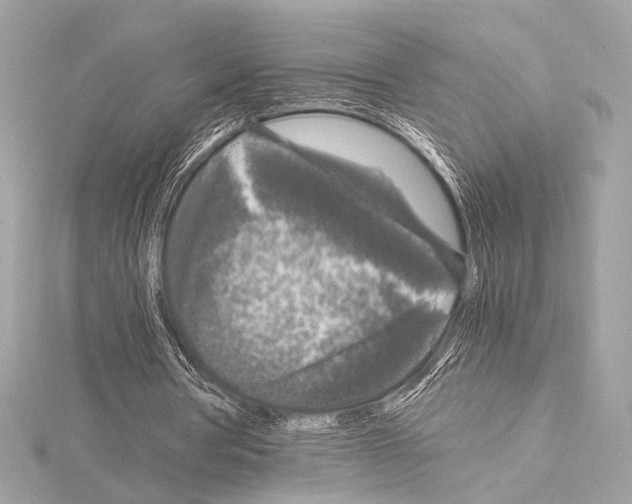 X0000115060386200912071155