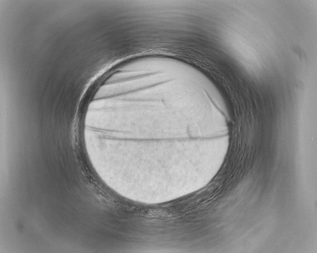 X0000115060388200912071155