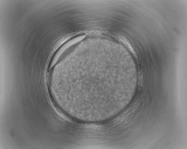 X0000115060389200912071155