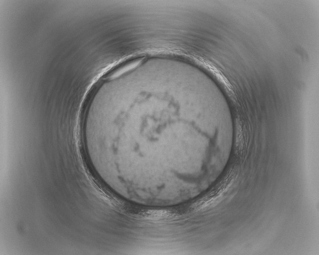 X0000115060391200912071155