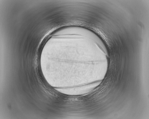 X0000115060392200912071155