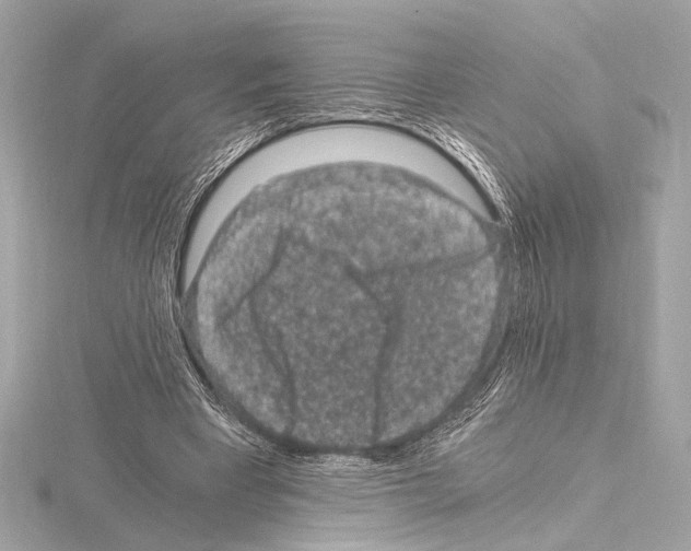 X0000115060393200912071155