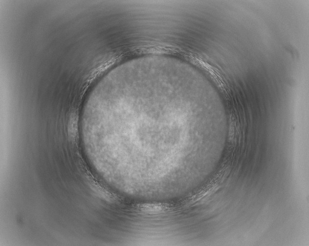 X0000115060394200912071155