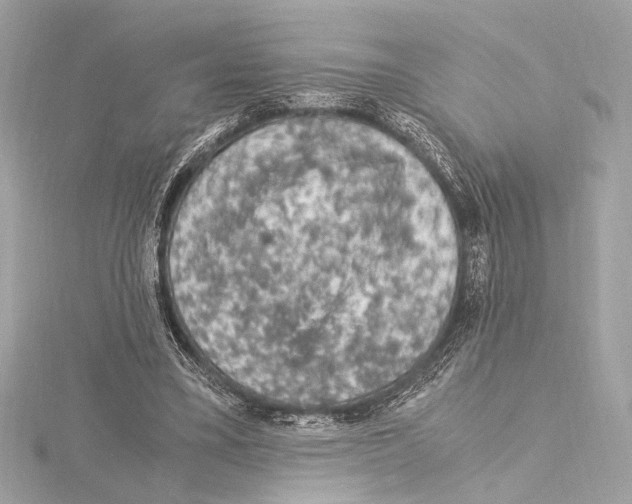 X0000115060395200912071155