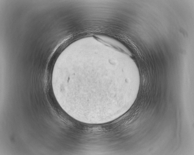 X0000115060396200912071155