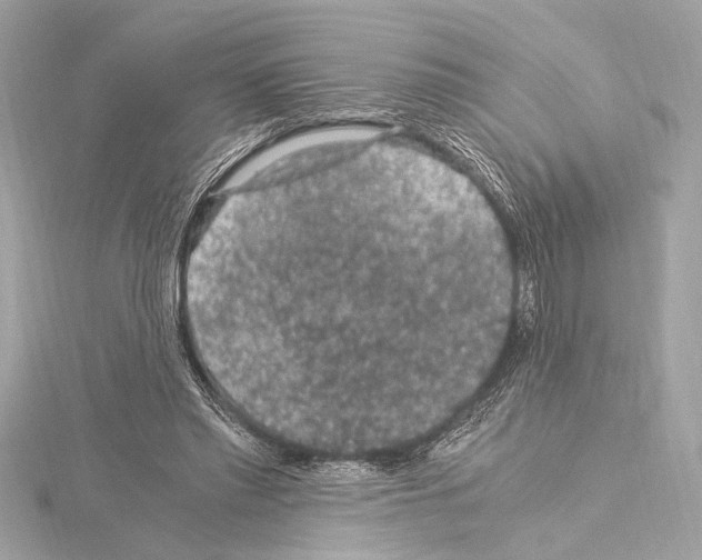 X0000115060397200912071155