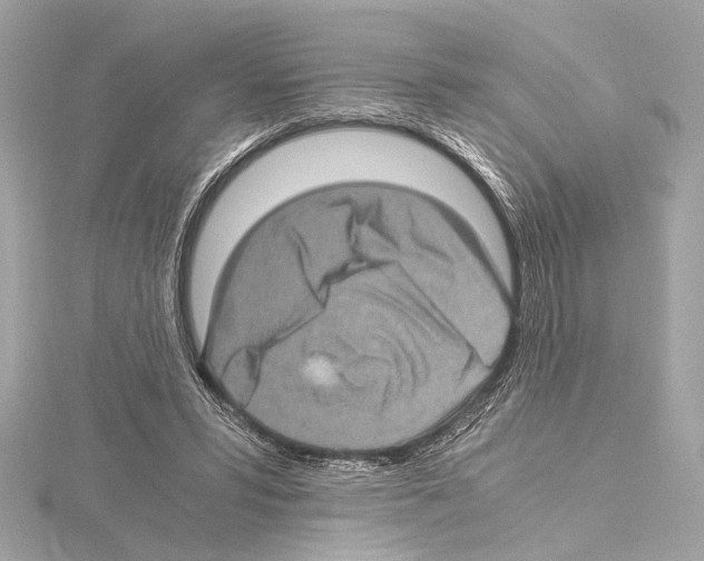 X0000115060399200912071155