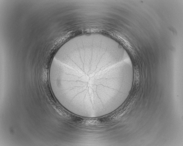 X0000115060401200912071155