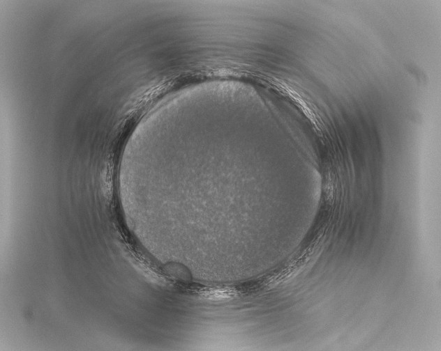 X0000115060402200912071155