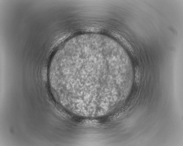 X0000115060403200912071155