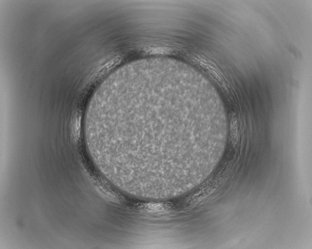 X0000115060406200912071155