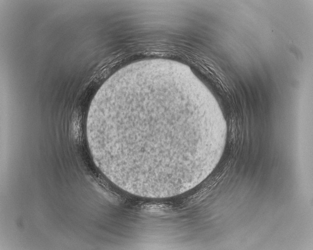 X0000115060408200912071155