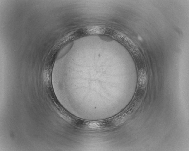 X0000115060409200912071155