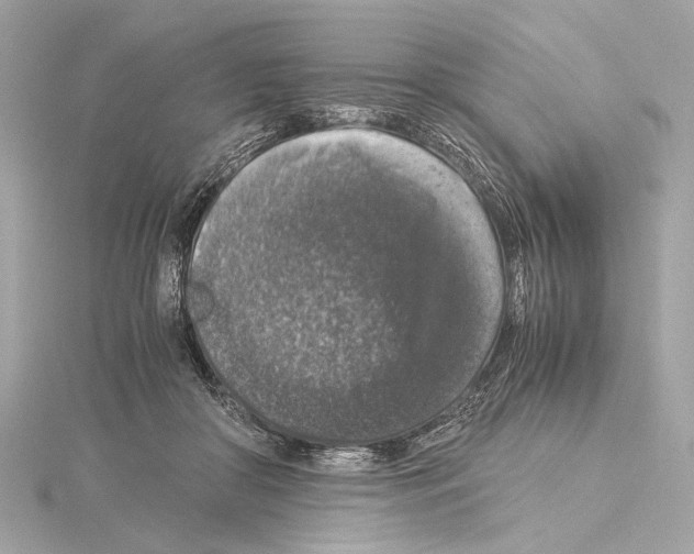 X0000115060410200912071155