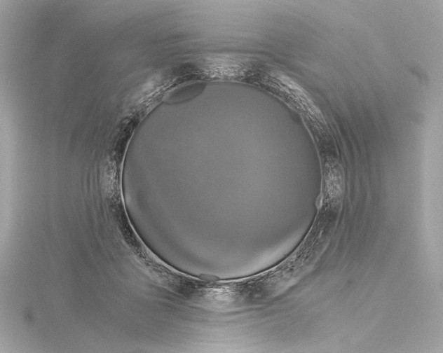 X0000115060411200912071155