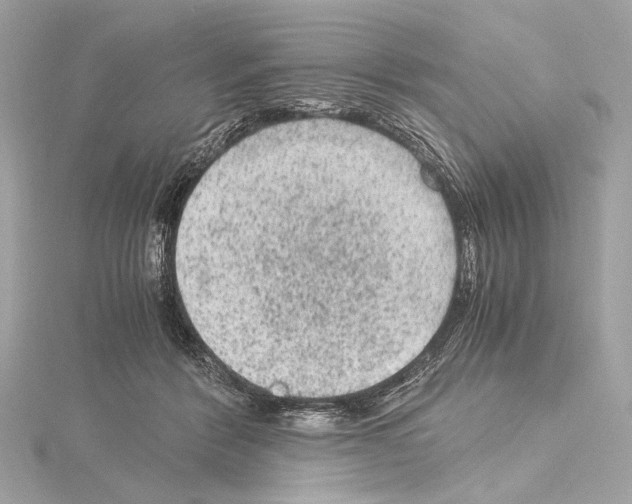 X0000115060412200912071155