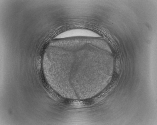 X0000115060413200912071155