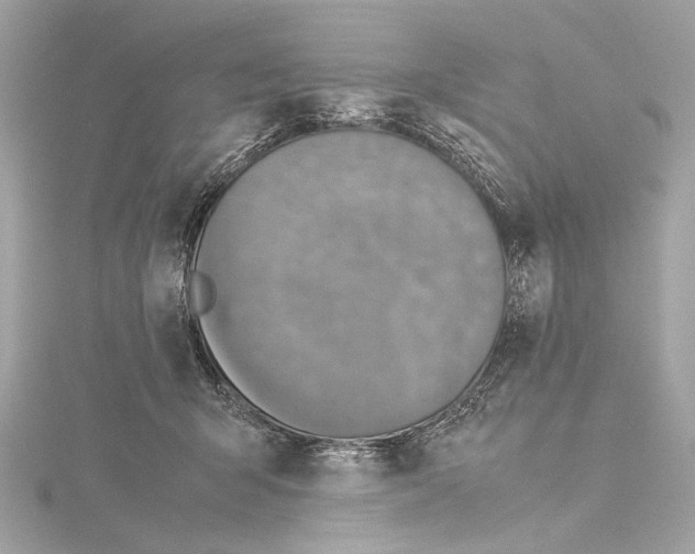 X0000115060415200912071155