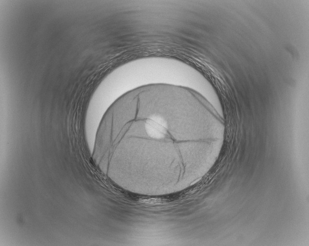 X0000115060417200912071155