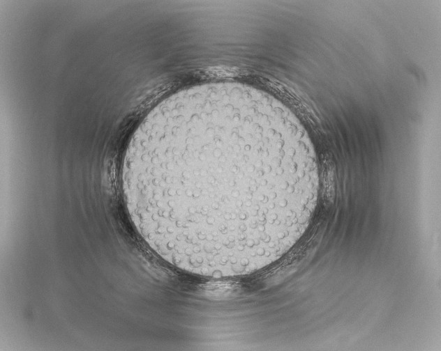 X0000115060418200912071155