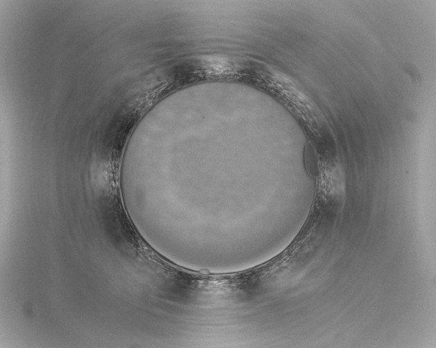 X0000115060419200912071155