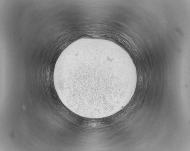 X0000115060420200912071155