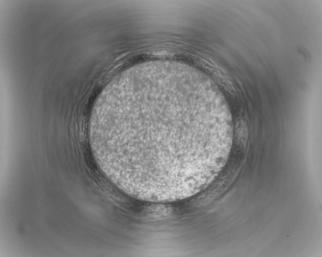 X0000115060421200912071155