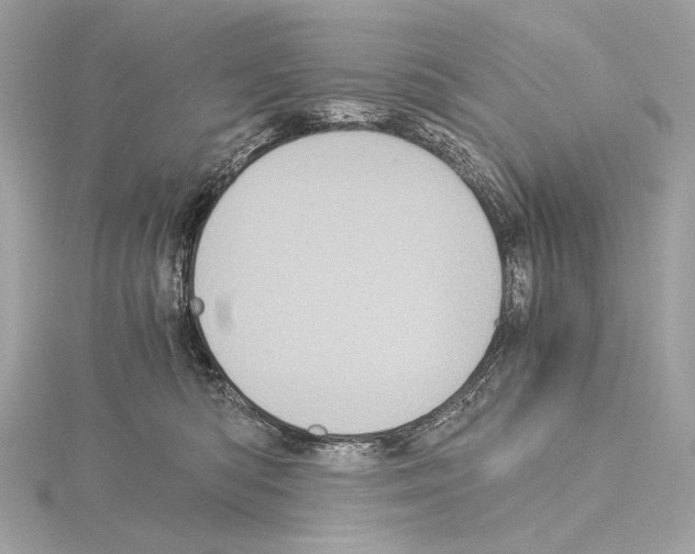 X0000115060422200912071155